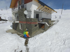 Гостиница Mountain Cricket Apartments and Cottages  Гудаури
